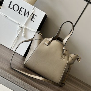 Loewe Handbags 169